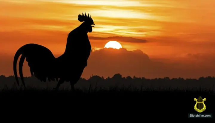 Rooster, the Archangel Gabriel, and the First Morning Blessing