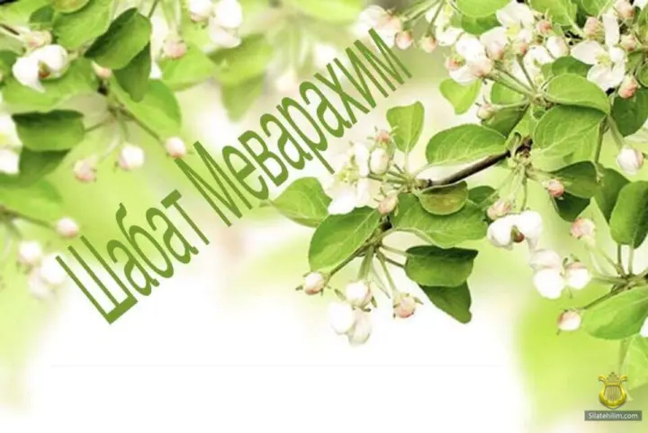 Shabbat Mevarchim and the Recitation of Tehillim