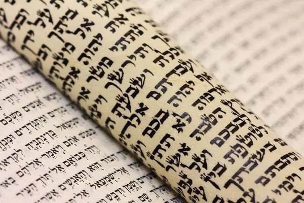 Where the Name of the Rashbi Is Encoded in the Torah